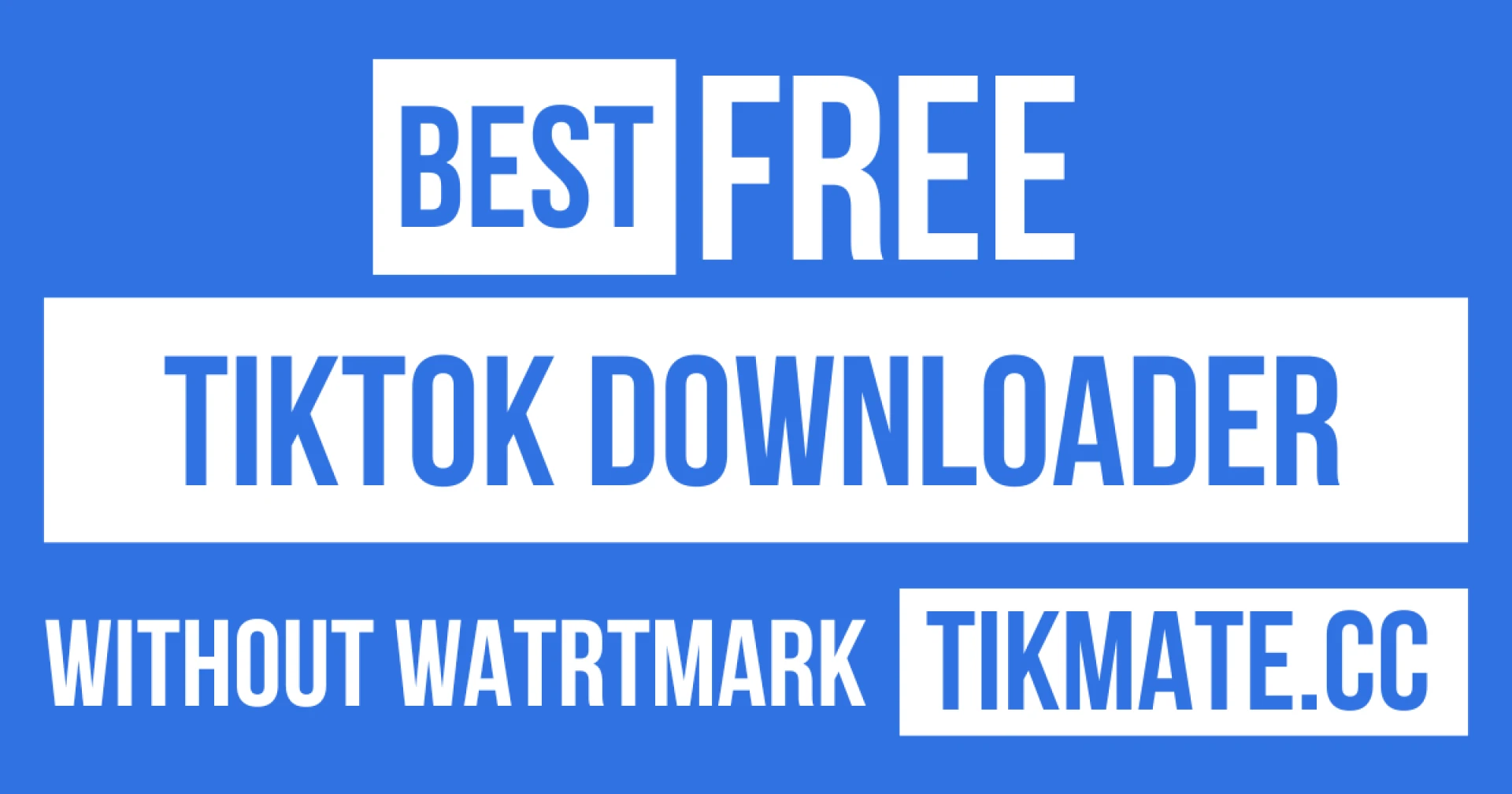 TikMate: Download TikTok Music Files Instantly