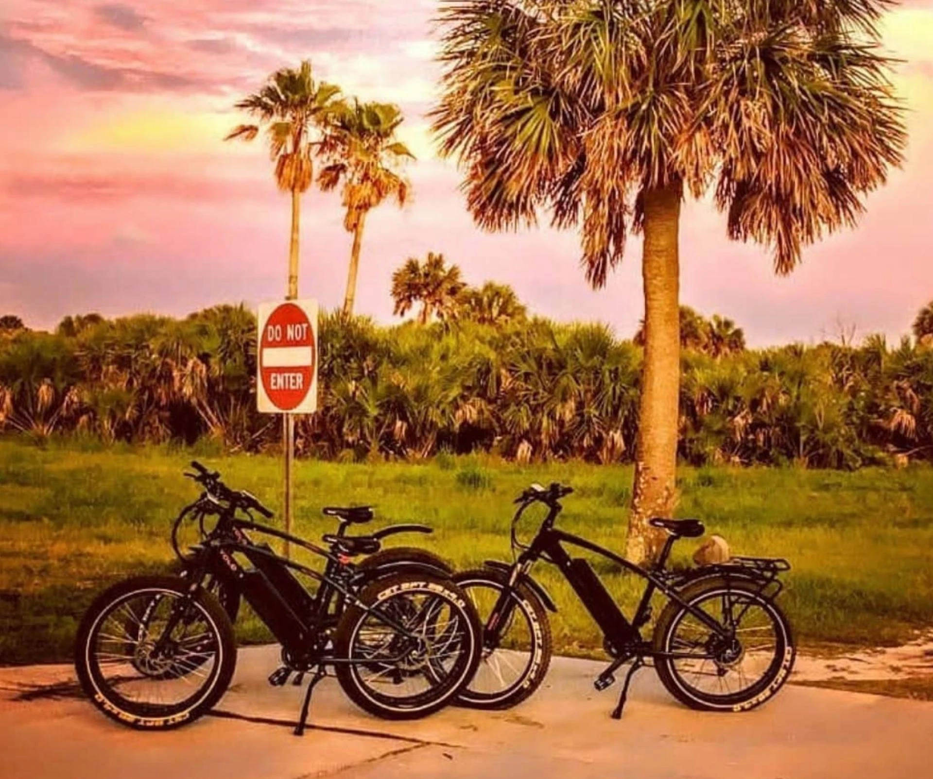 Top Treasure Island Beach Tour Ideas To Explore This Summer - Electric Rentals &amp; More