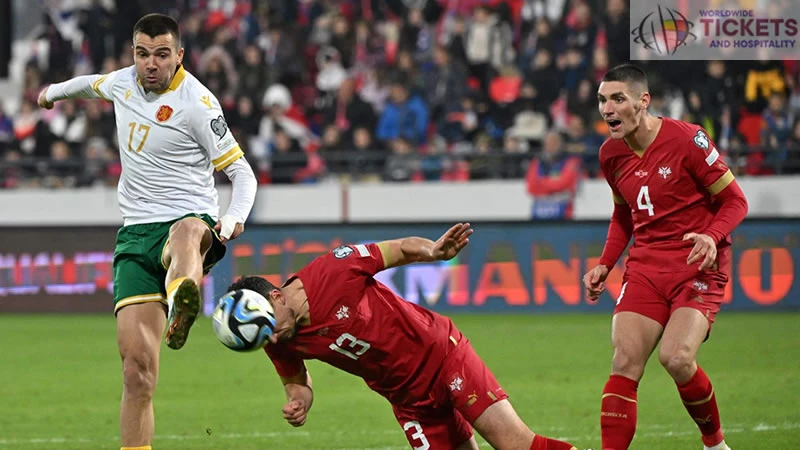 Denmark Vs Serbia Turmoil and Insistence Teammates Scattered in Euro Cup 2024