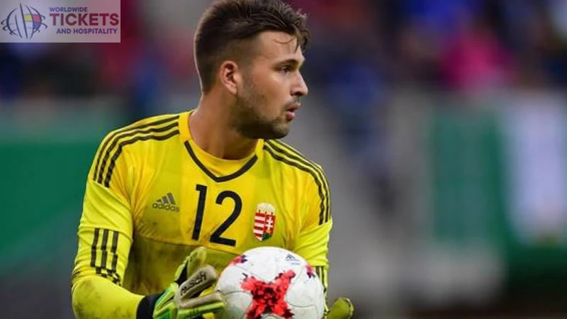 UEFA Euro 2024: Patrik's Ascension, From Club To Country In European Championship