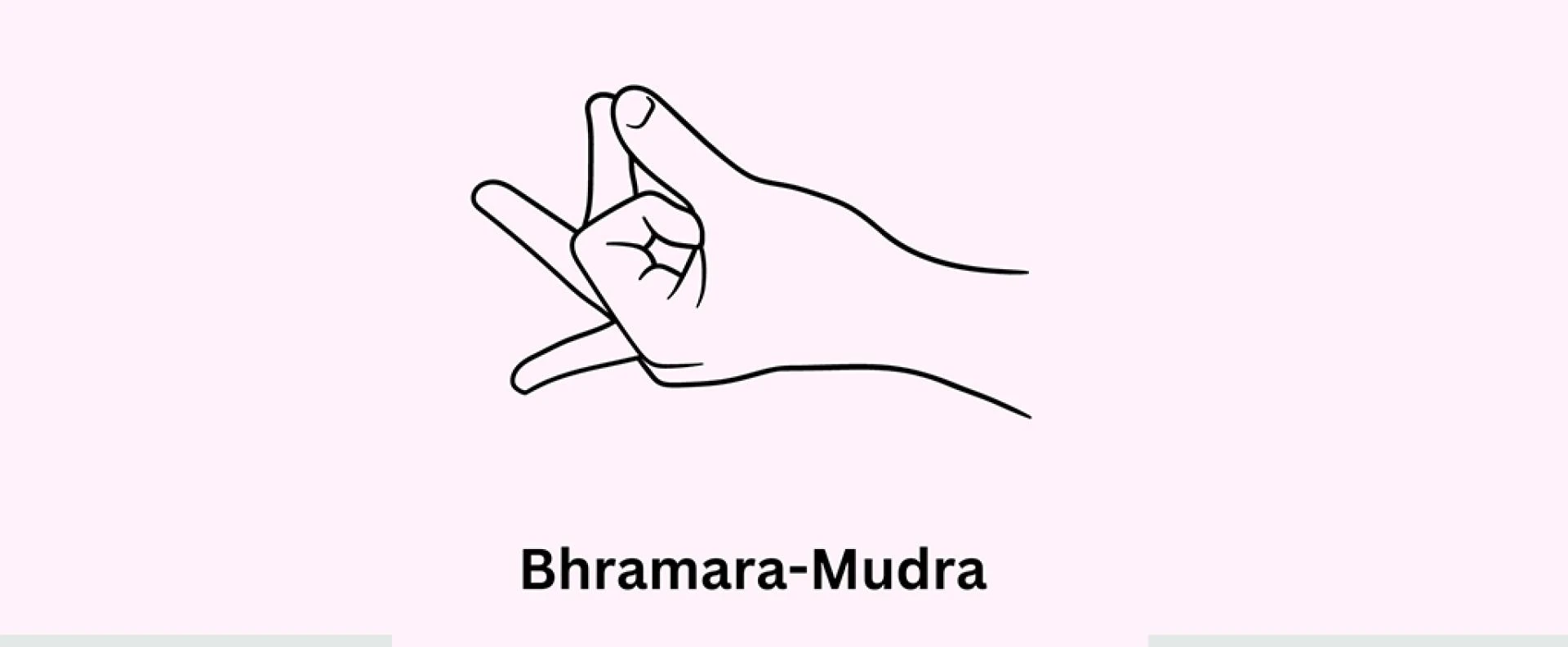 Why Seasonal Allergies Suck and How to Ease the Symptoms?