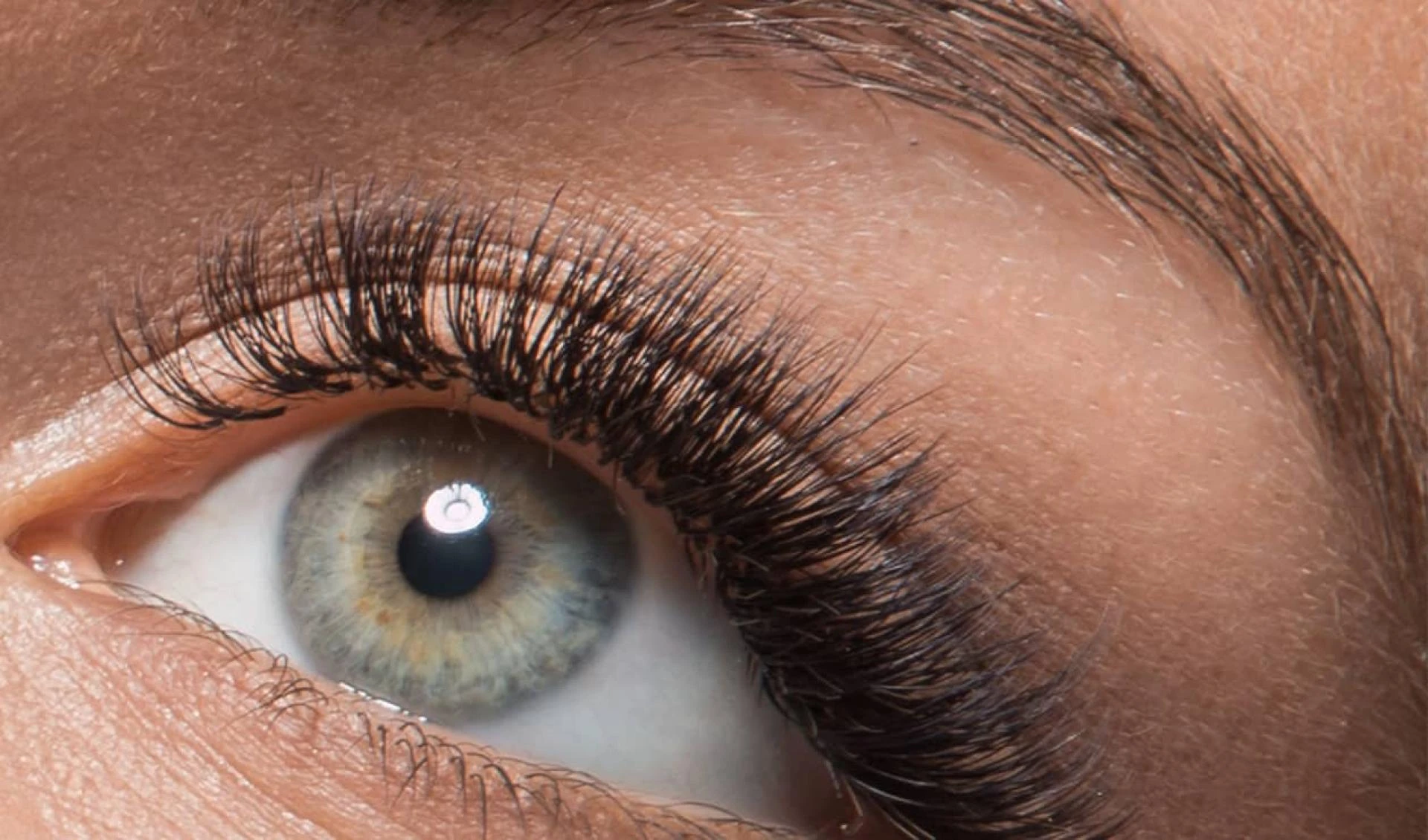 Lashlifts Treatments by Lashtique