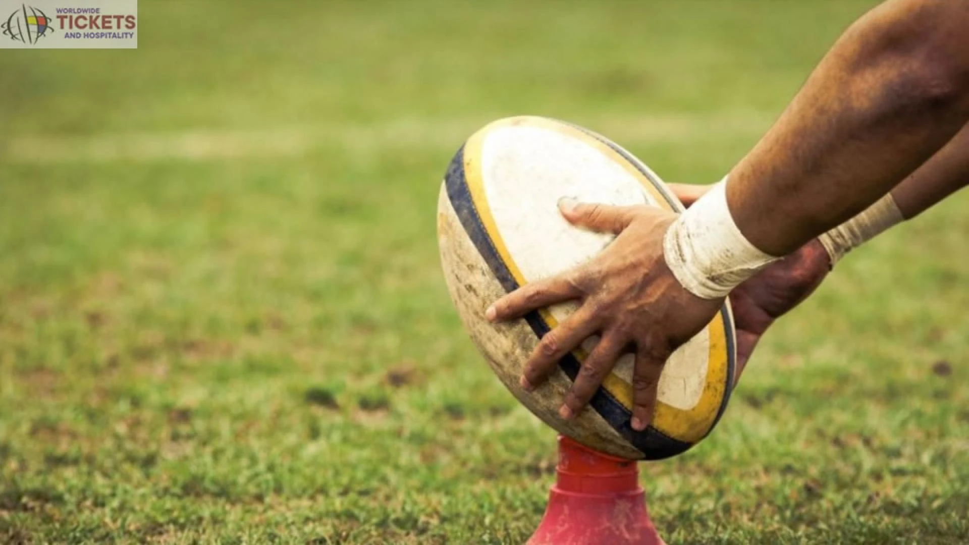 RWC 2023: Exciting facts about France Rugby World Cup