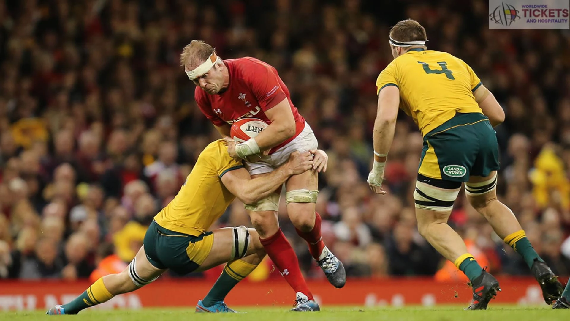 Wales Vs Australia: Gatland still looking for first win in RWC 2023 year