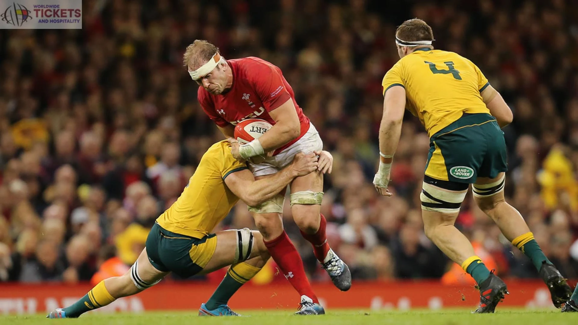 Wales Vs Australia: Coach Eddie Jones's prediction about RWC winner