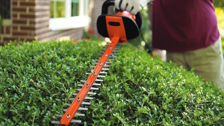 Electric Hedge Trimmer Industry Analysis, Future Growth, Segmentation, Competitive Landscape, Key Trends &amp; Forecast 2022 to 2032