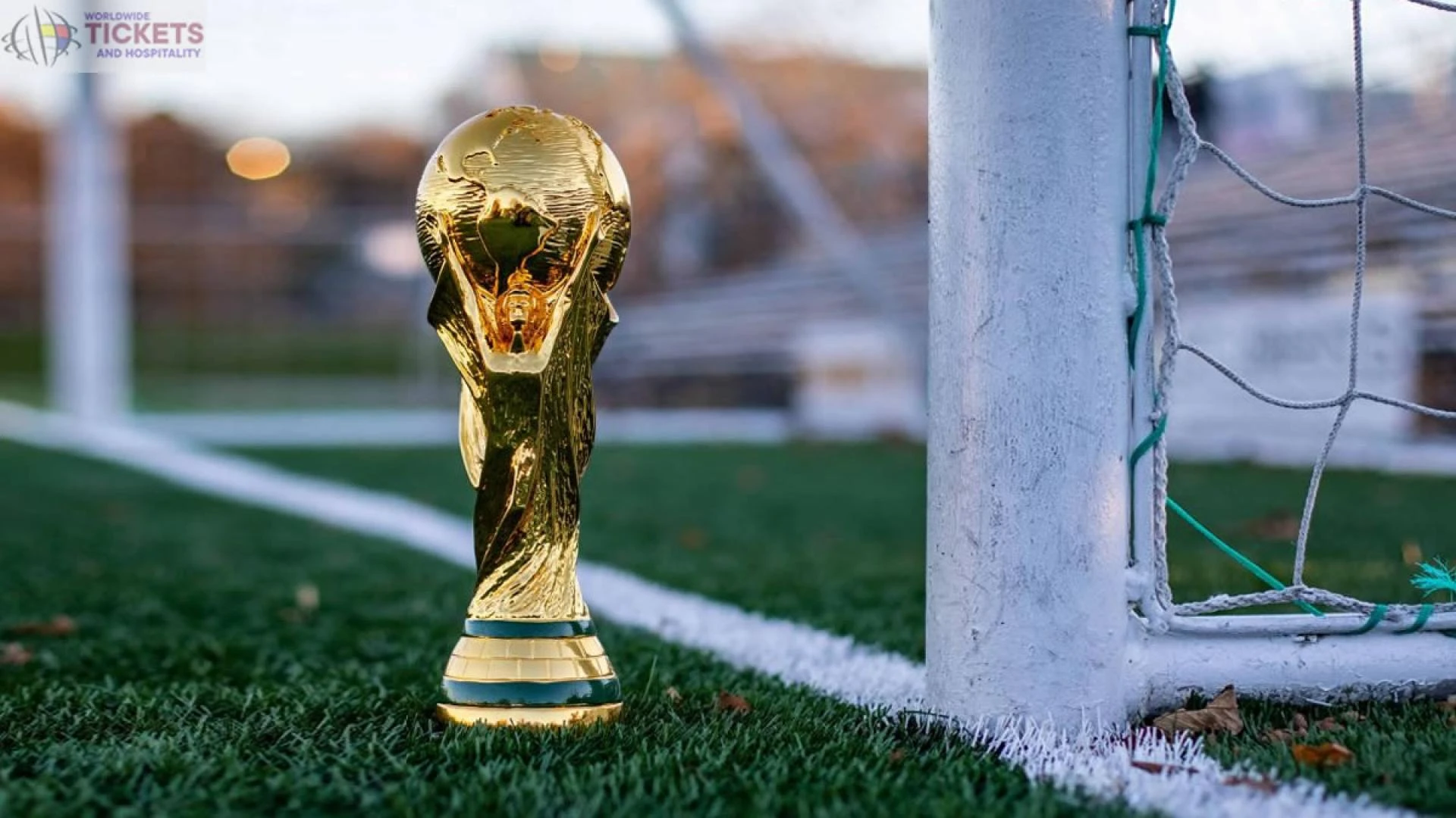 Qatar FIFA World Cup travel and visa options to plan your journey