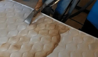 mattress cleaning hobart