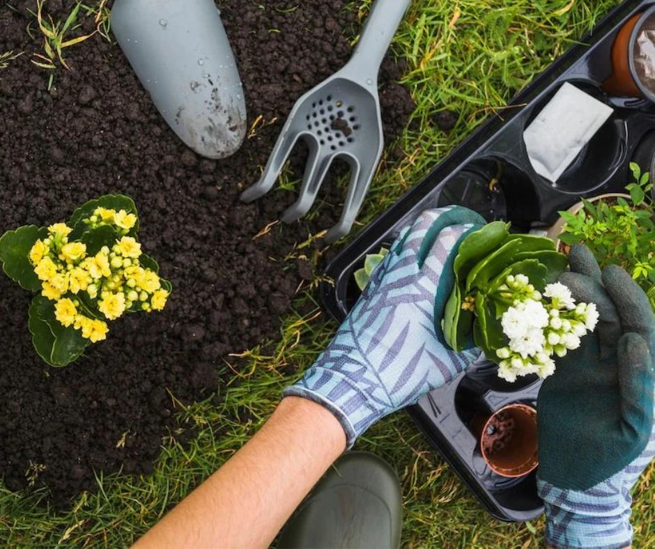 The Ultimate Guide To Pick The Best Landscaping Services