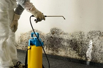 Essential Tips for Successful Commercial Property Restoration