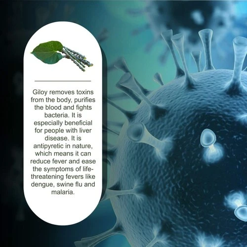 Roncuvita Immunity Booster Capsules Health Benefits