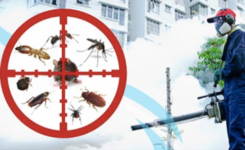 Your One-Stop Shop for Pest Control in Jaipur at Usspestcon Services Pvt Ltd