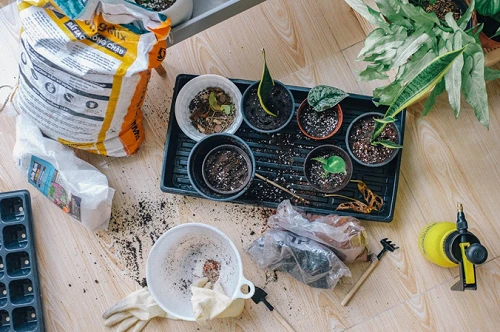 10 Fun Activities You Should Do At Home With Your Support Worker