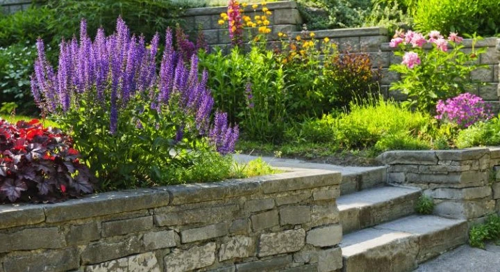 Why Should You Landscape Your Home And Business?