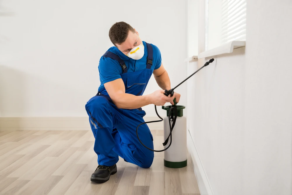 Professional Pest Control Services