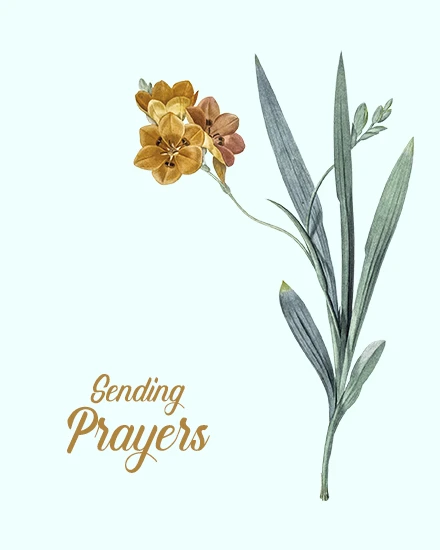 What is the sense of sending sympathy cards?