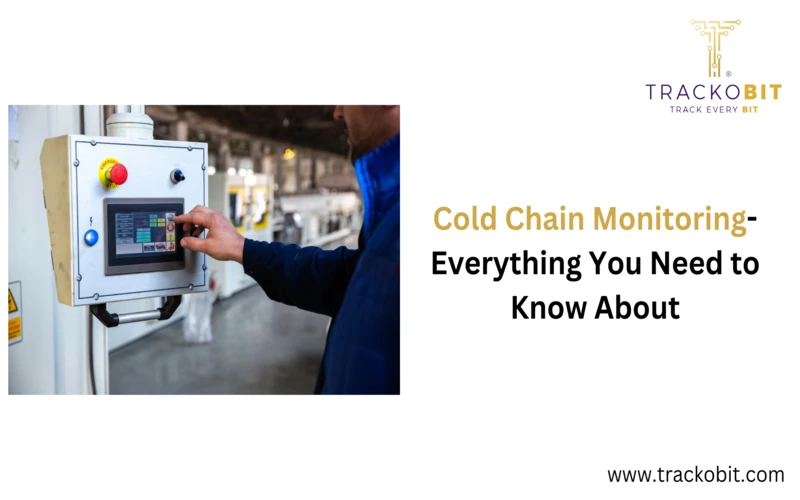 Cold Chain Monitoring- Everything You Need to Know About