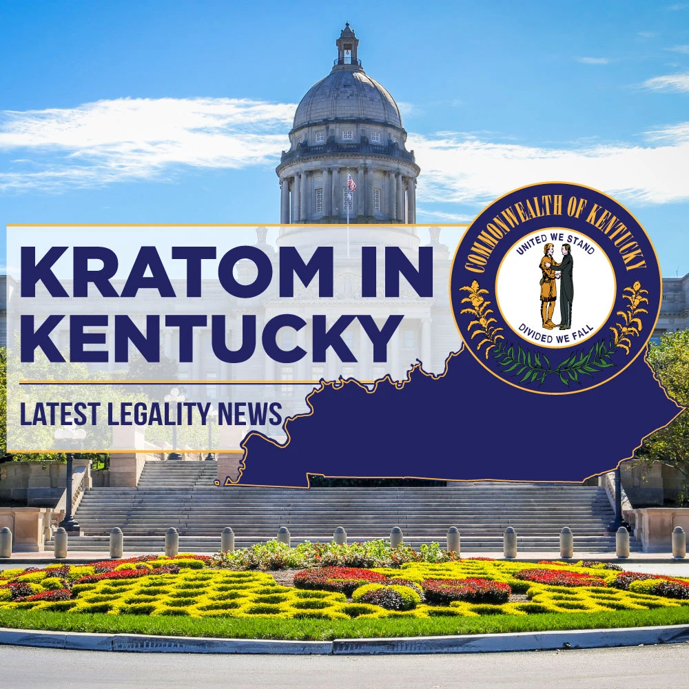 Is Kratom Legal in Kentucky? Explore the latest legality news