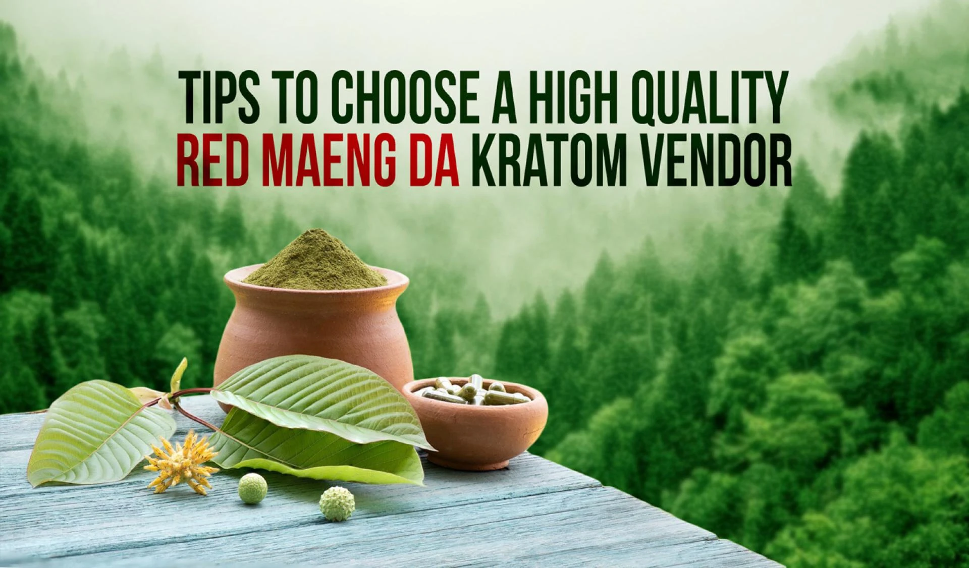 5 Tips to choose the best red maeng da kratom vendor