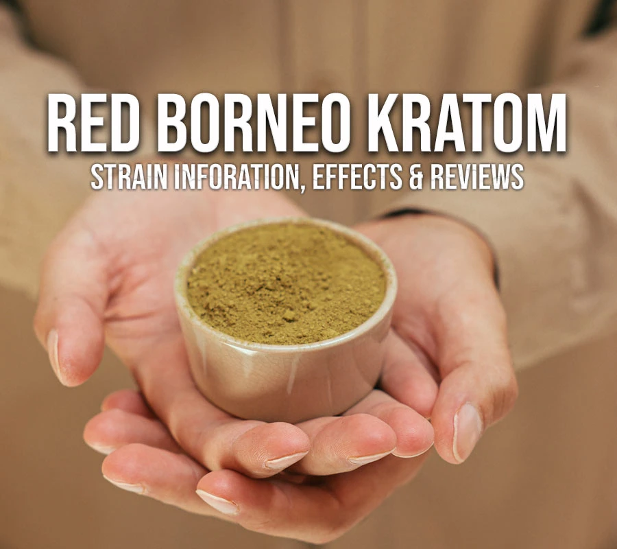 Red Borneo Kratom - Strain Information, Effects, &amp; Review