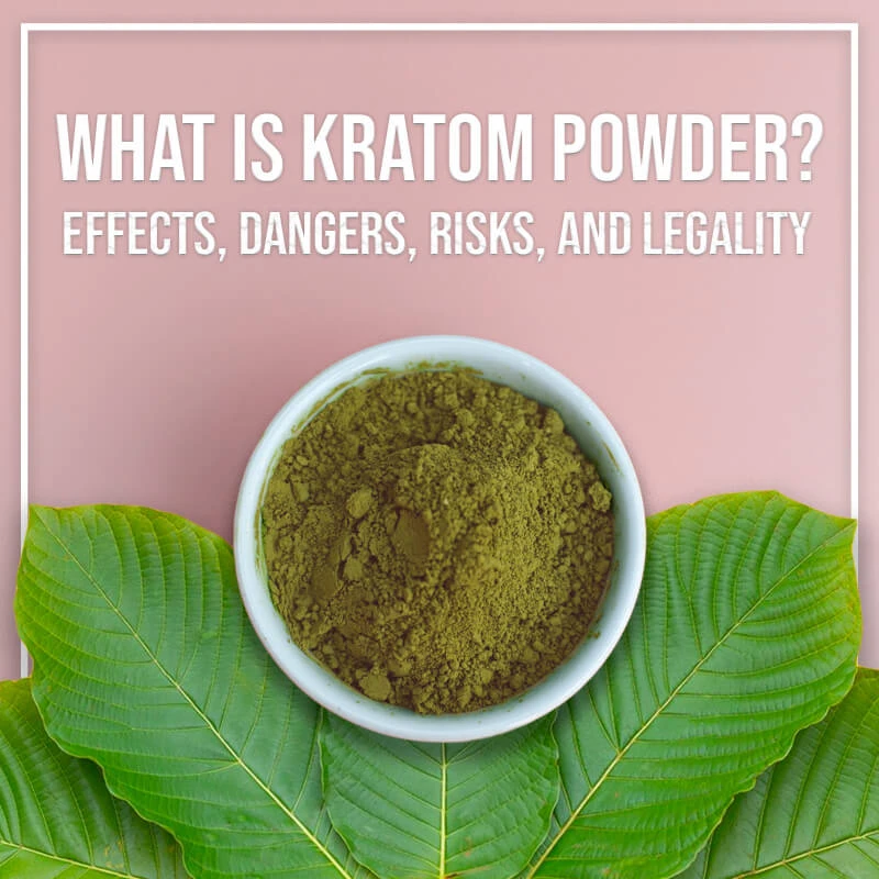 What Is Kratom Powder? - Effects, Dangers, Risks, and Legality