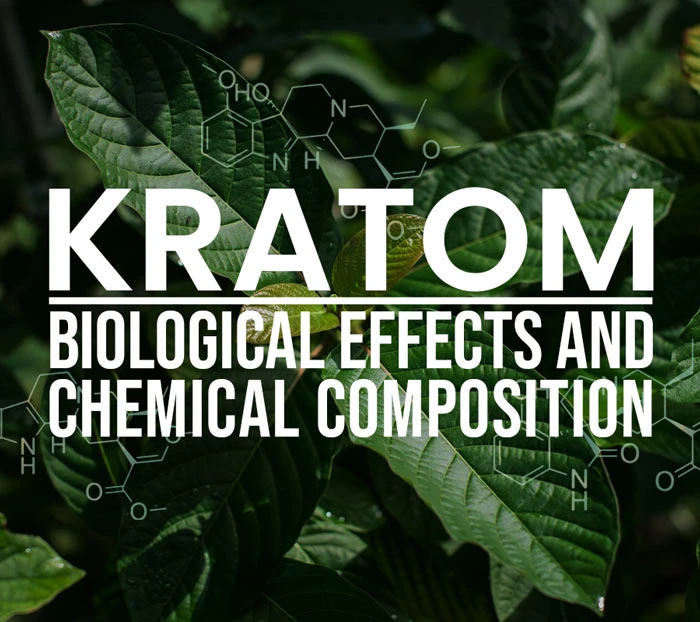 Kratom - Biological Effects and Chemical Composition