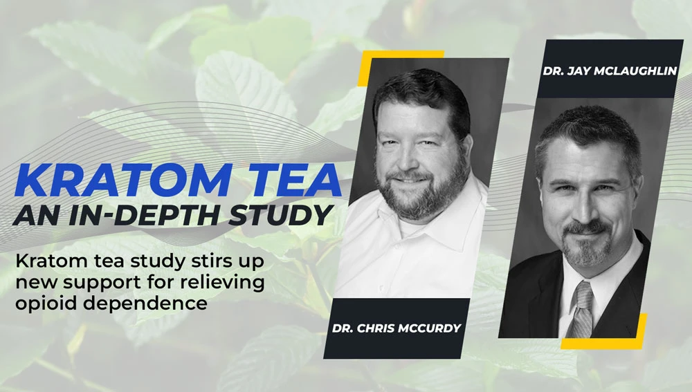 Kratom tea - An In-Depth Study