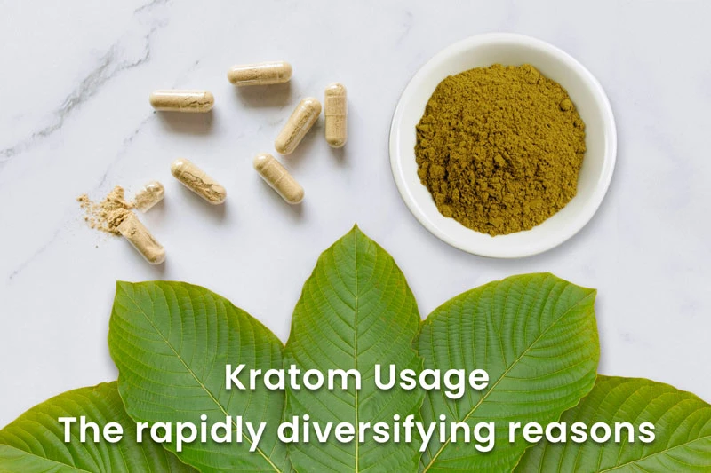 Kratom Usage - The rapidly diversifying reasons
