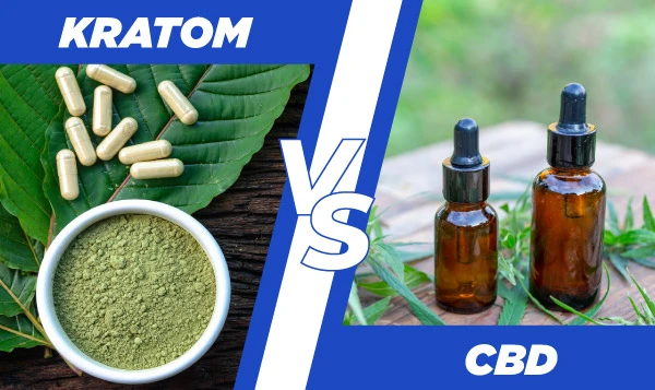 Kratom vs. CBD - Differences, Similarities and Comparison Chart