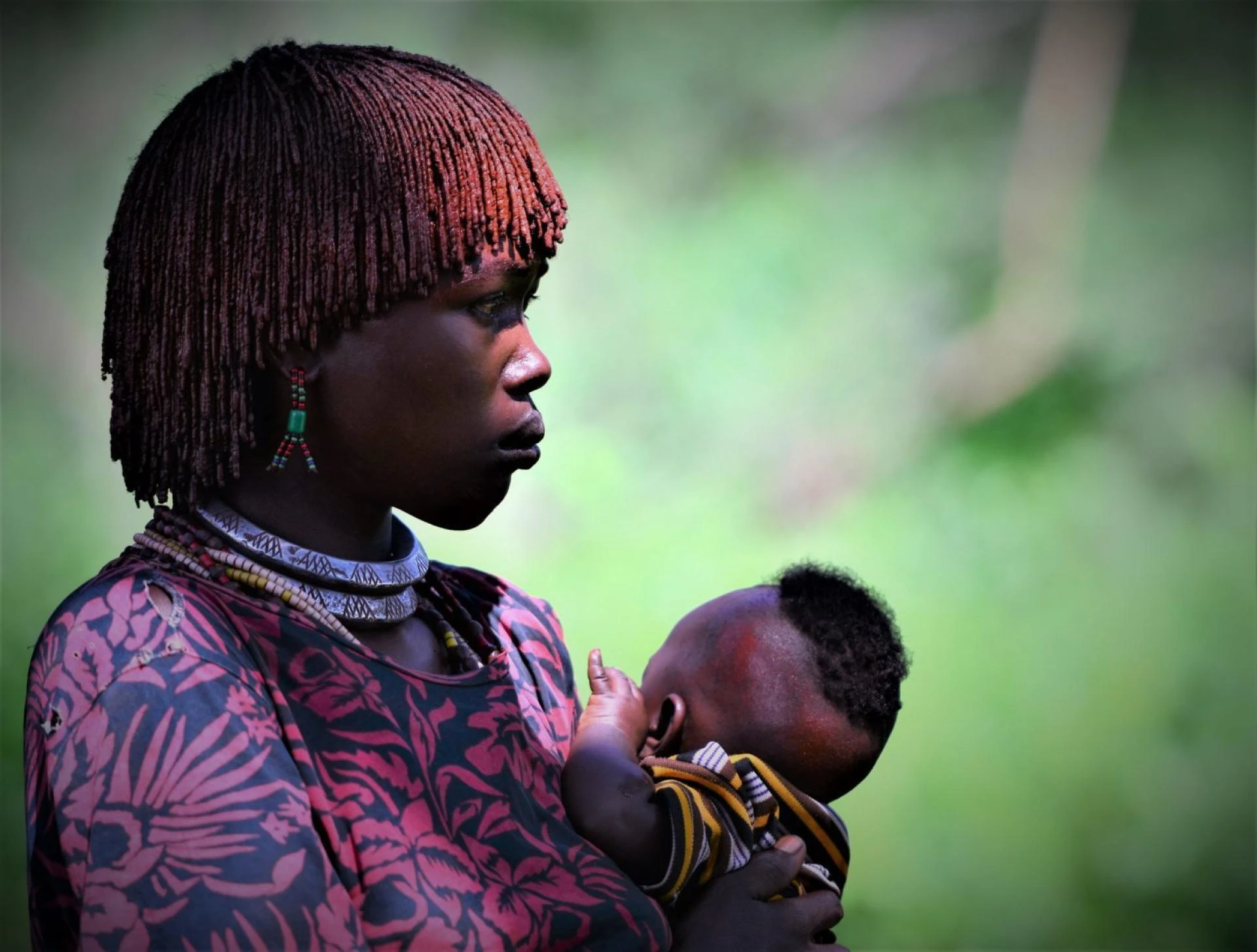 Essential Factors to Consider When Opting for Landscape Photography