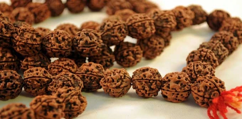 Things You Should Know About Rudraksha Mala
