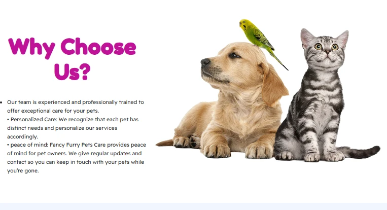 The Ultimate Pet Care Center: A Haven for Your Furry Friends