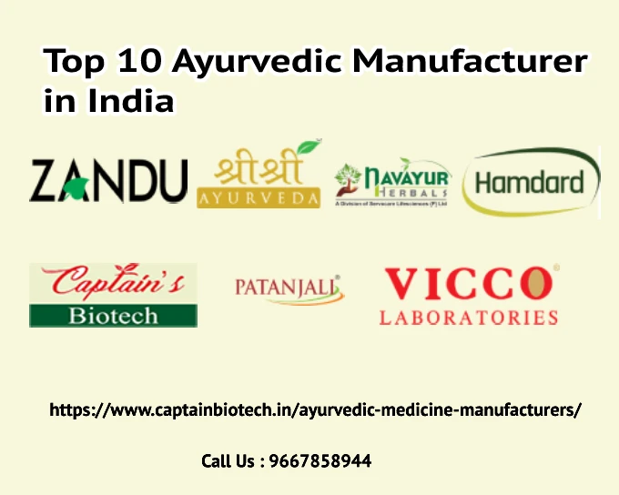 The Top 10 Ayurvedic Manufacturer in India