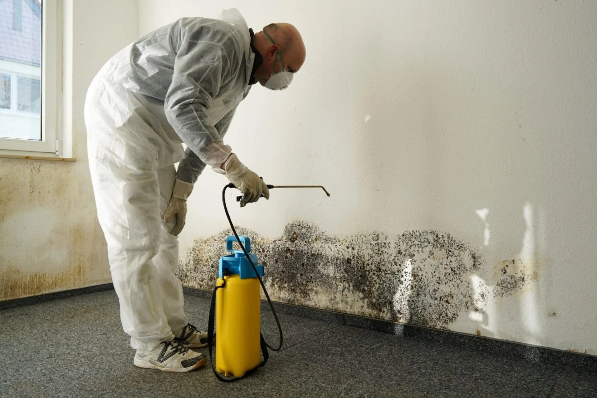 A Guide to Emergency Water Damage