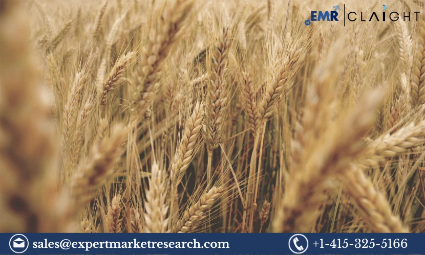 Global Wheat Market Analysis: Size, Price, Growth, Opportunities, Challenges, and Dynamics
