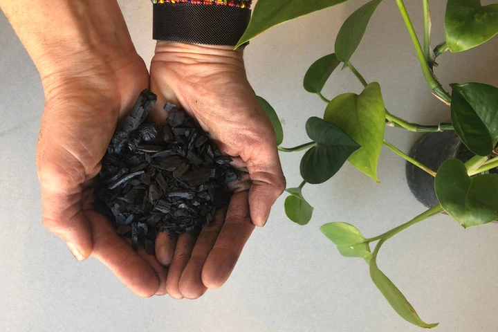 Biochar Market Size, Market Segmentation and Competitors Analysis 2019-2028