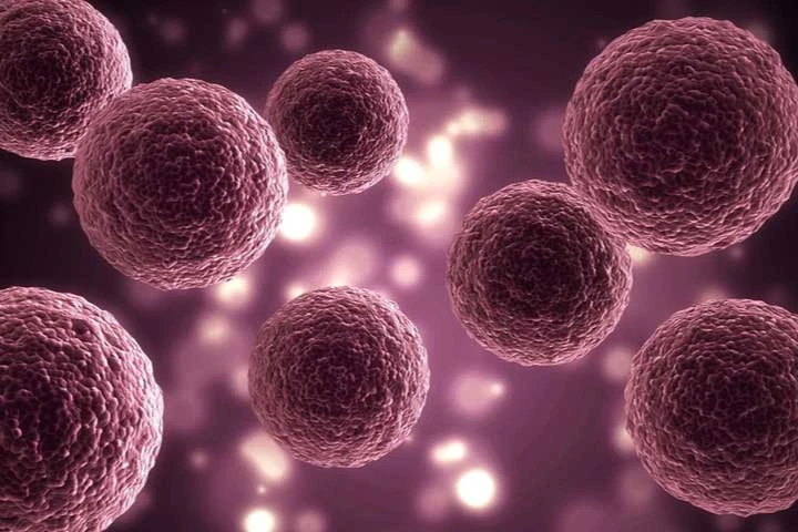 3D Cell Culture Market Analysis, Growth Strategies, Market Statistics and Forecasts to 2026