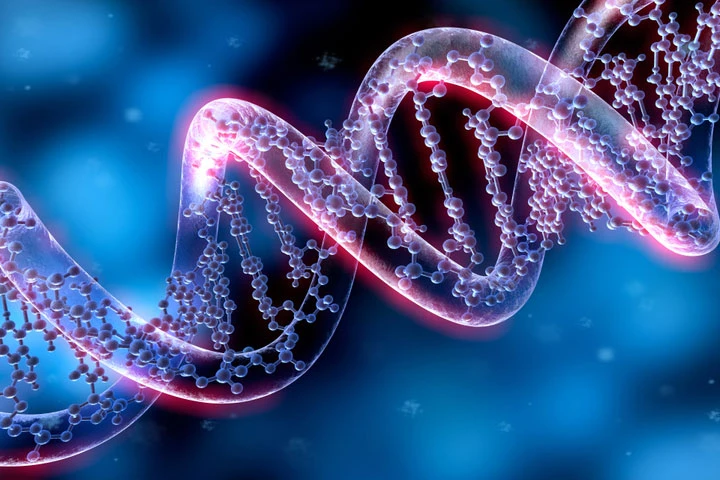 DNA Sequencing Market Size, Market Segmentation and Competitors Analysis 2018-2025