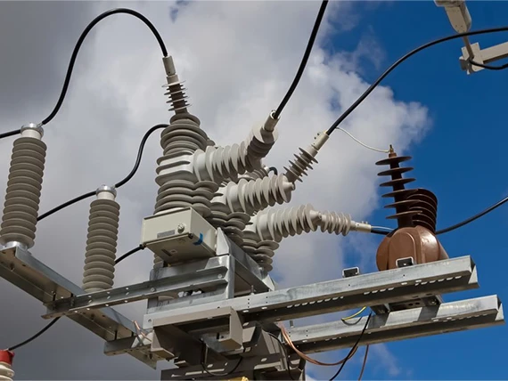 Recloser Market Research and Analysis by Expert: import/export details, Cost Structures and Market statistics till 2026