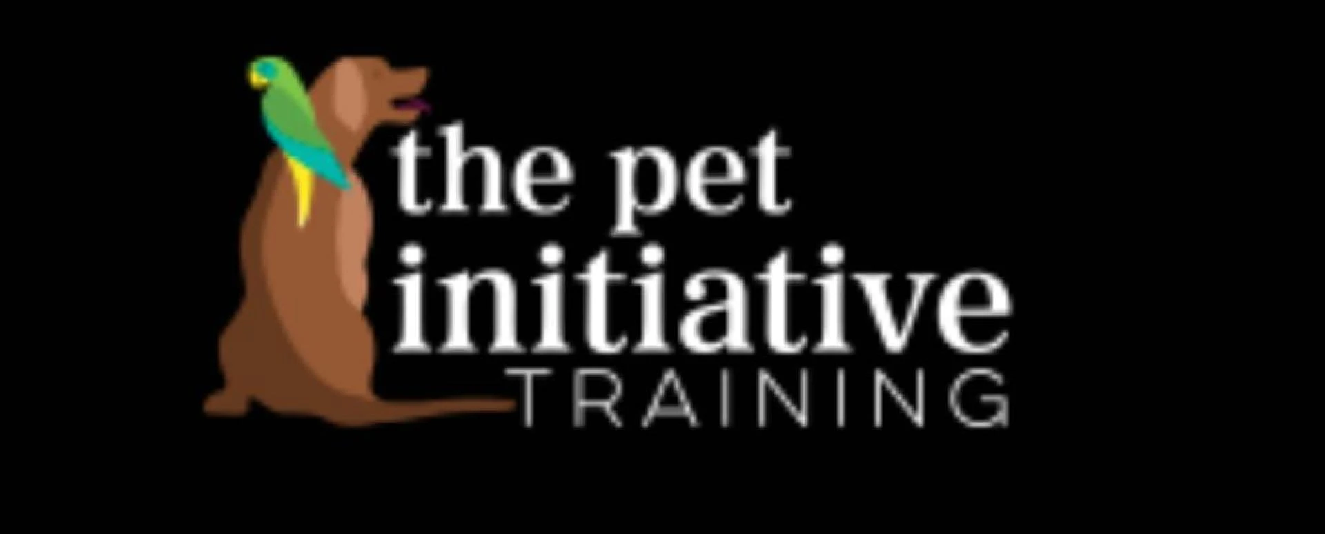 The Ultimate Guide to Becoming a Successful Pet Trainer | The Pet Initiative Training