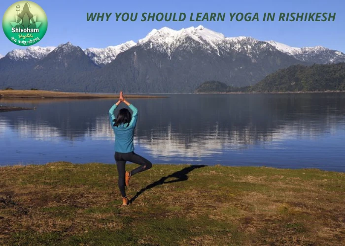 Why you should learn yoga in rishikesh?