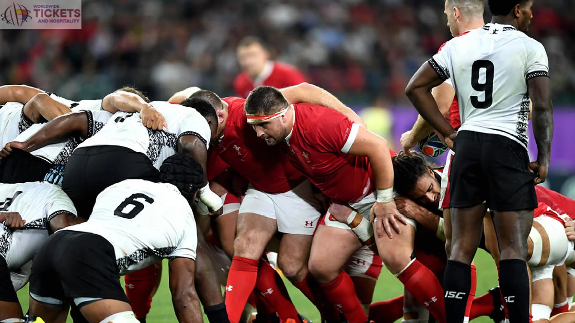 Wales vs Fiji: Wales and Lions star linked with English and French giants