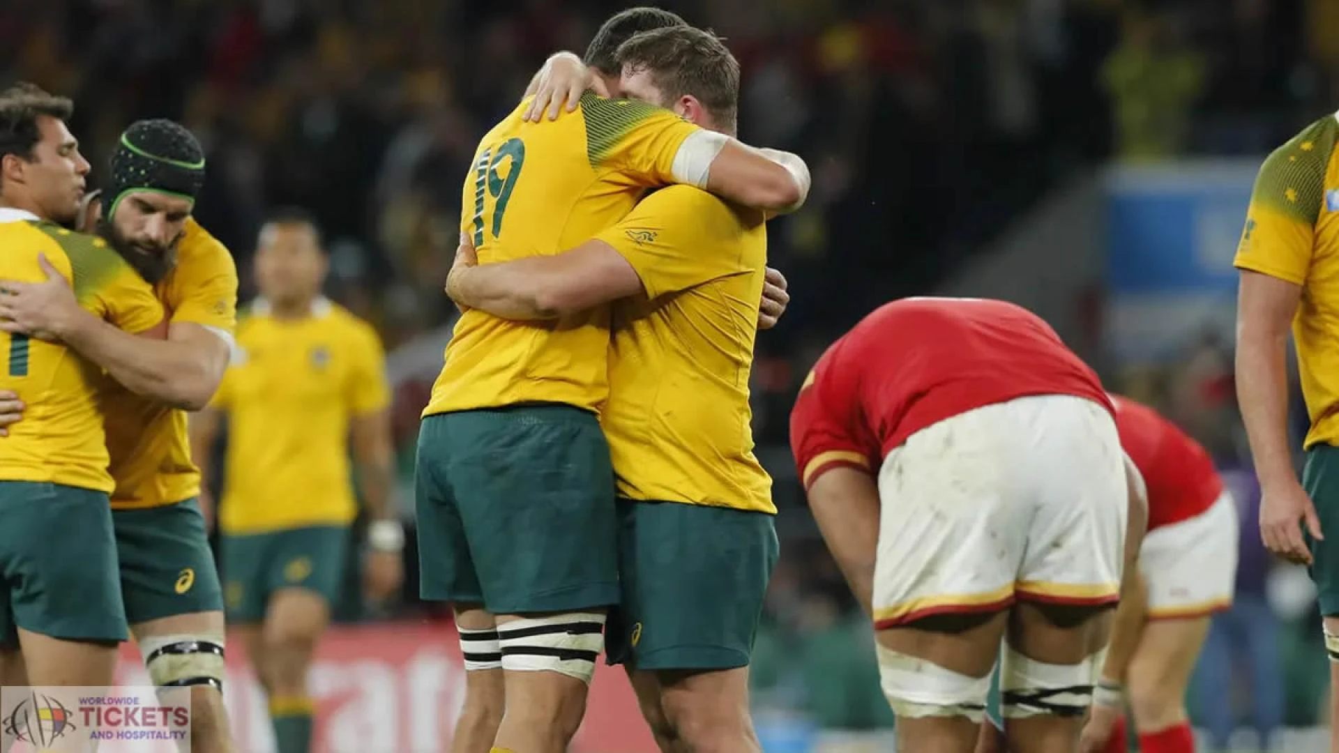 Wales vs Australia: Attack chief King confident of a good apt with Gatland
