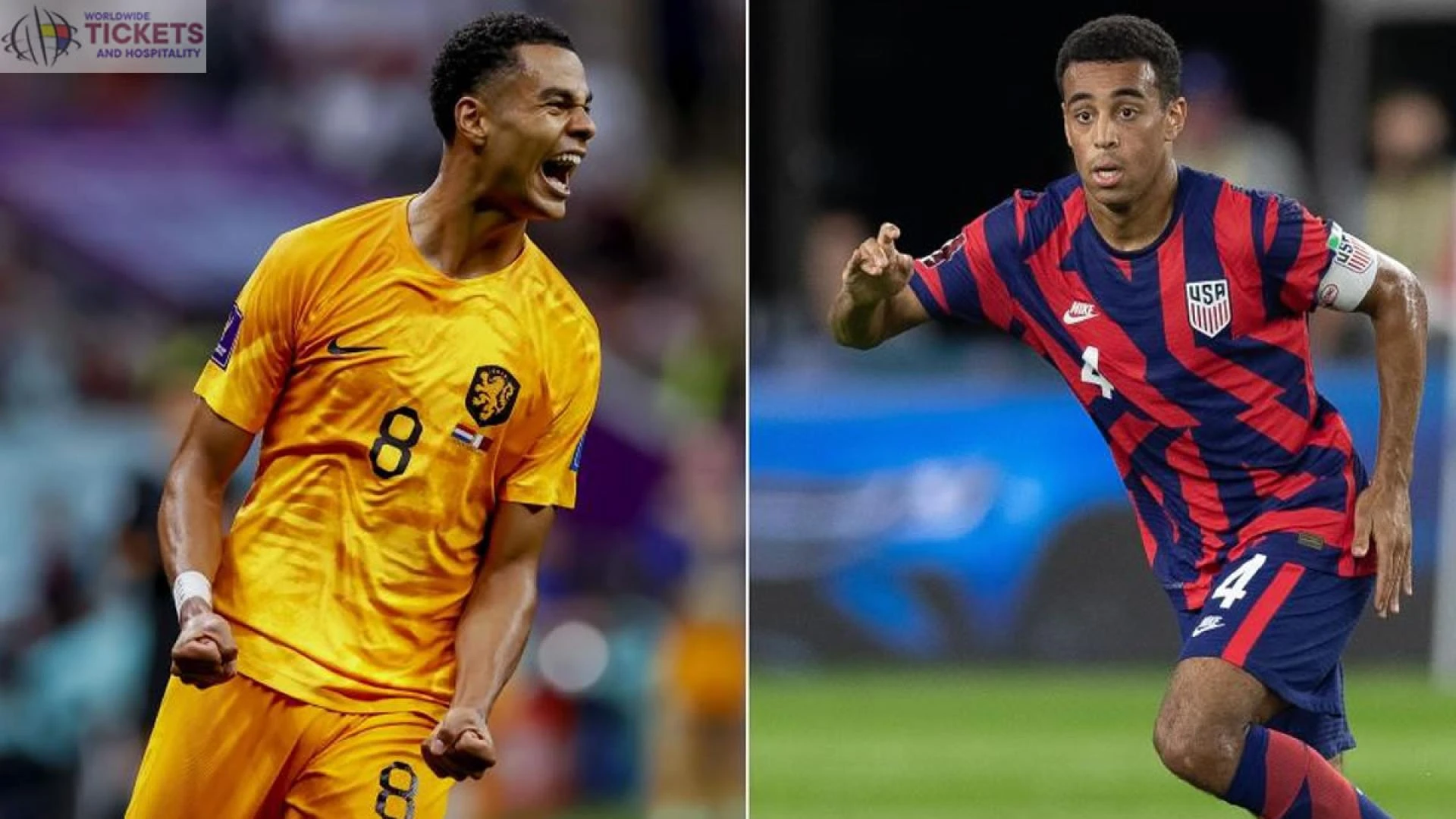 Netherlands Vs USA: Football World Cup prediction, kick-off time, TV, live stream, team news