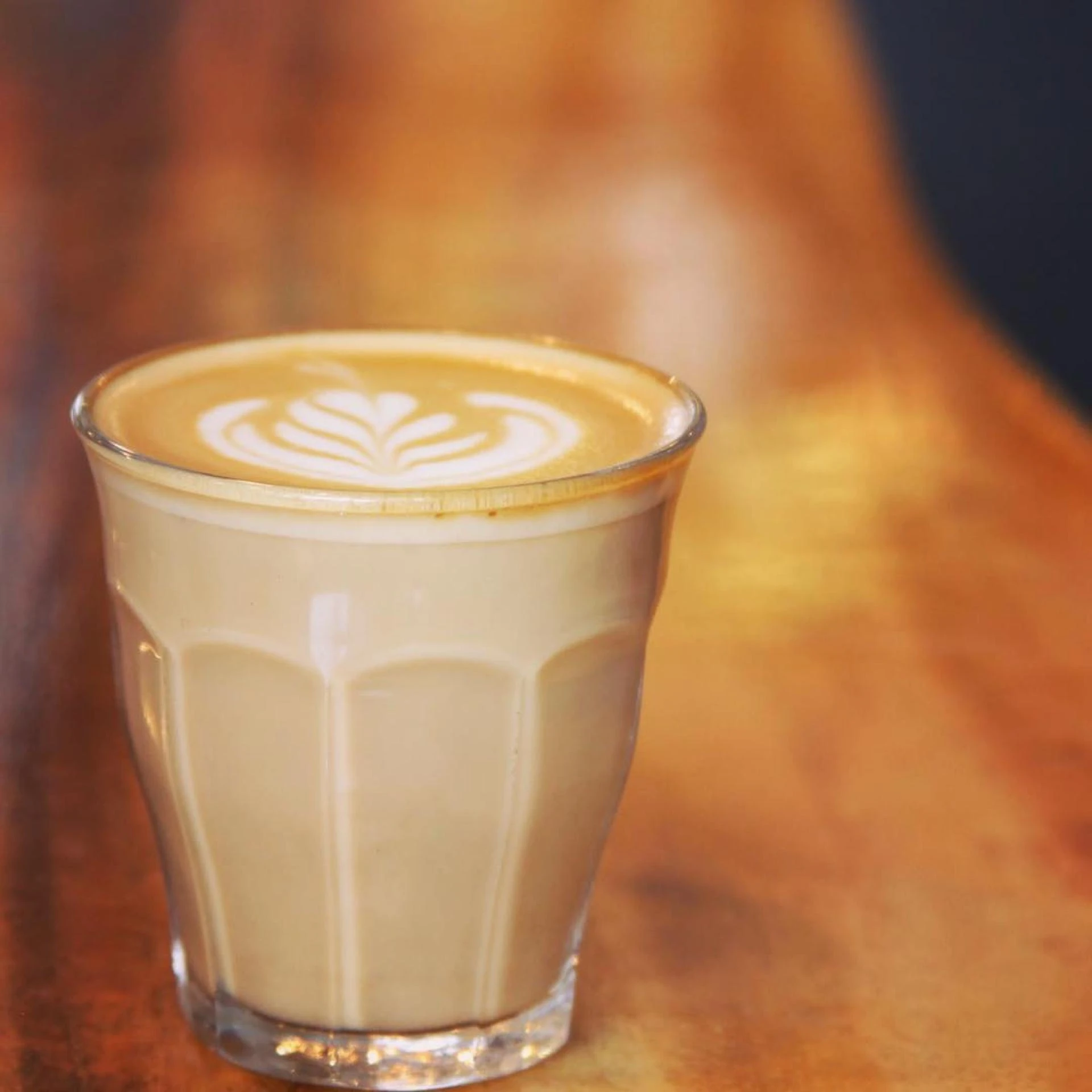 From Seed to Sip: A Journey Through the Specialty Coffee Supply Chain