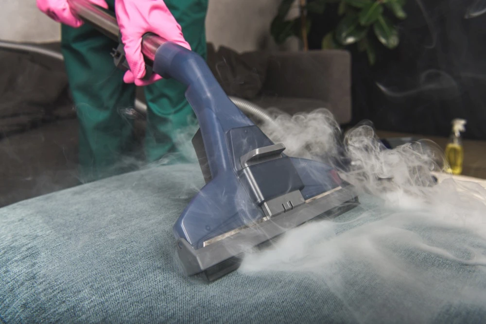 Explore The Best Steam Cleaning Melbourne Services