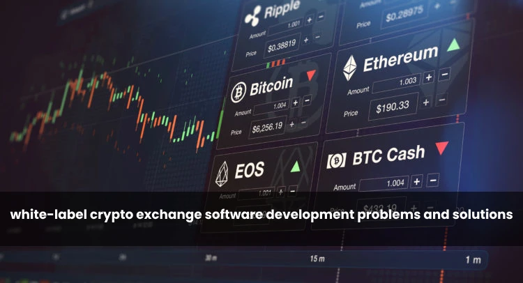 white-label crypto exchange software development problems and solutions