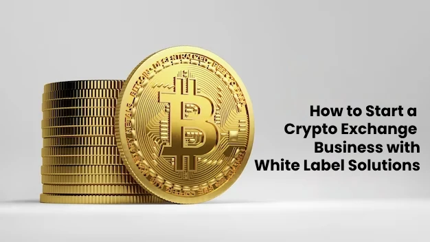 How to Start a Crypto Exchange Business with White Label Solutions