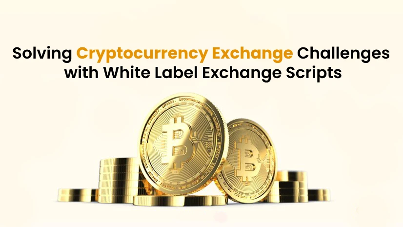 Solving Cryptocurrency Exchange Challenges with White Label Exchange Scripts