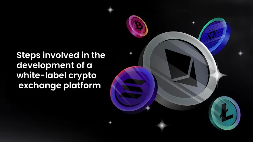Steps involved in the development of a white-label cryptocurrency exchange platform